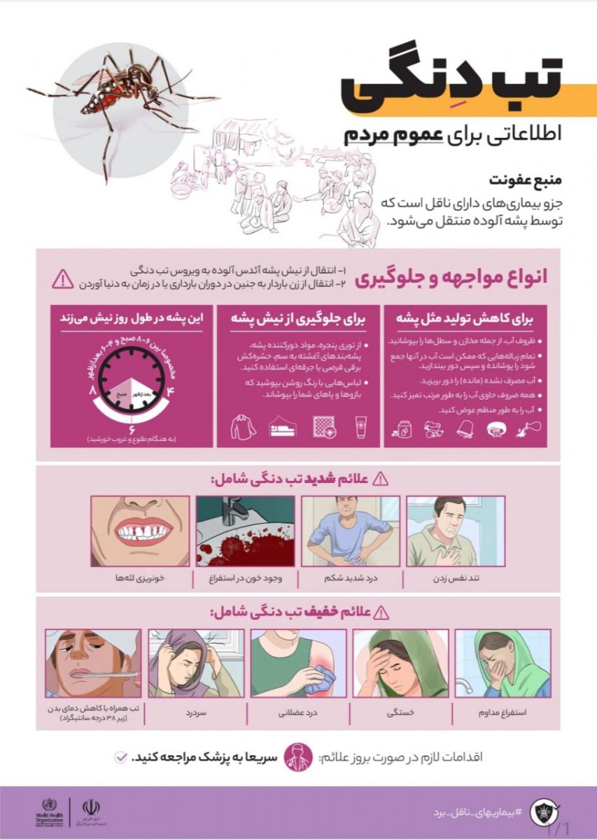 آشنايي با تب دنگي